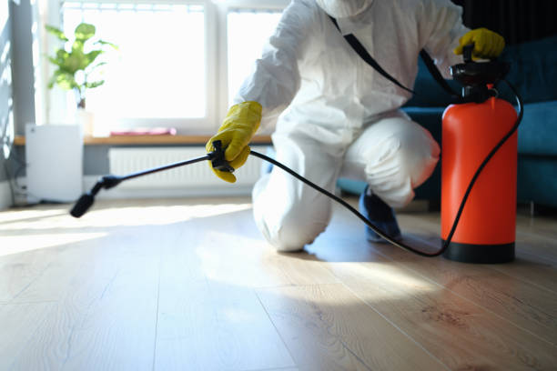 Best Exterminator Services  in Hampton, IL