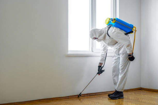 Best Pest Control for Businesses  in Hampton, IL