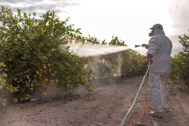 Best Pest Control Near Me  in Hampton, IL