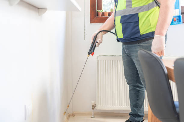Best Residential Pest Control  in Hampton, IL