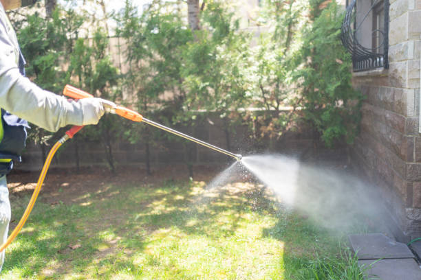 Best Mosquito Control Services  in Hampton, IL