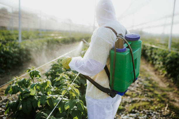 Best Bed Bug Extermination  in Hampton, IL
